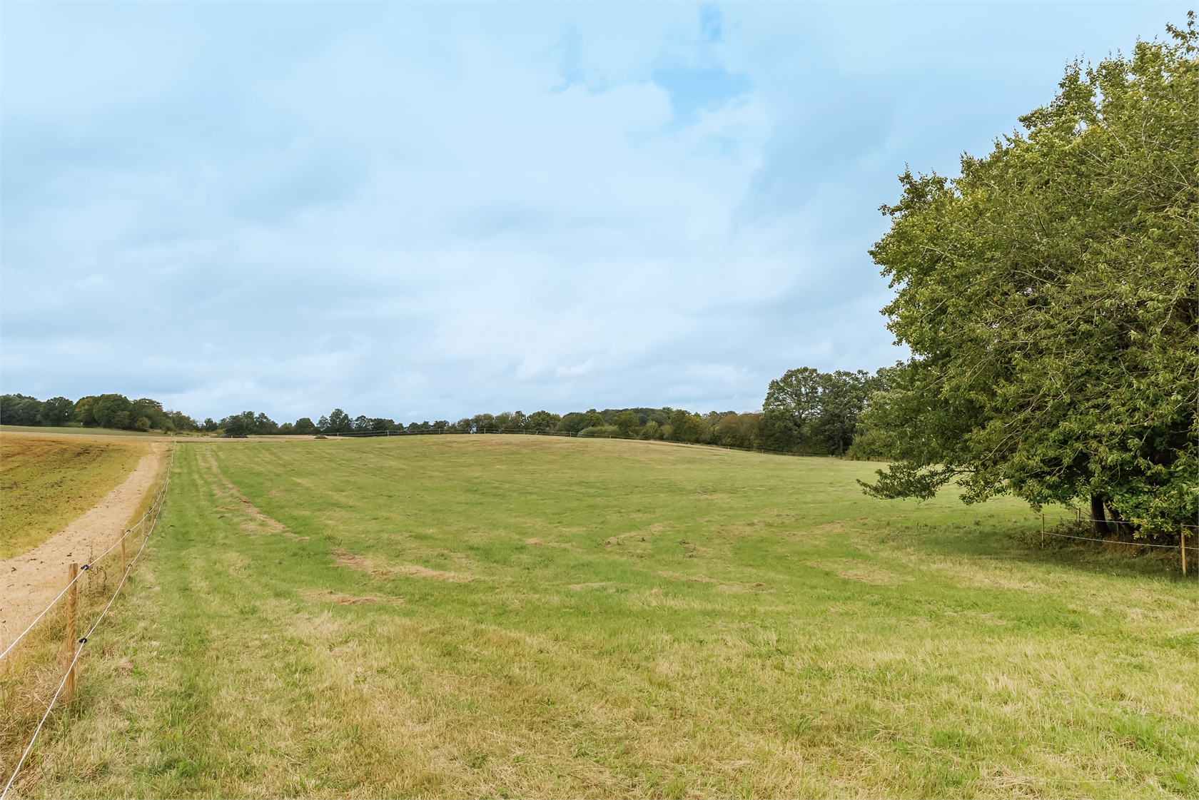 Bosarp 818 – bild 66