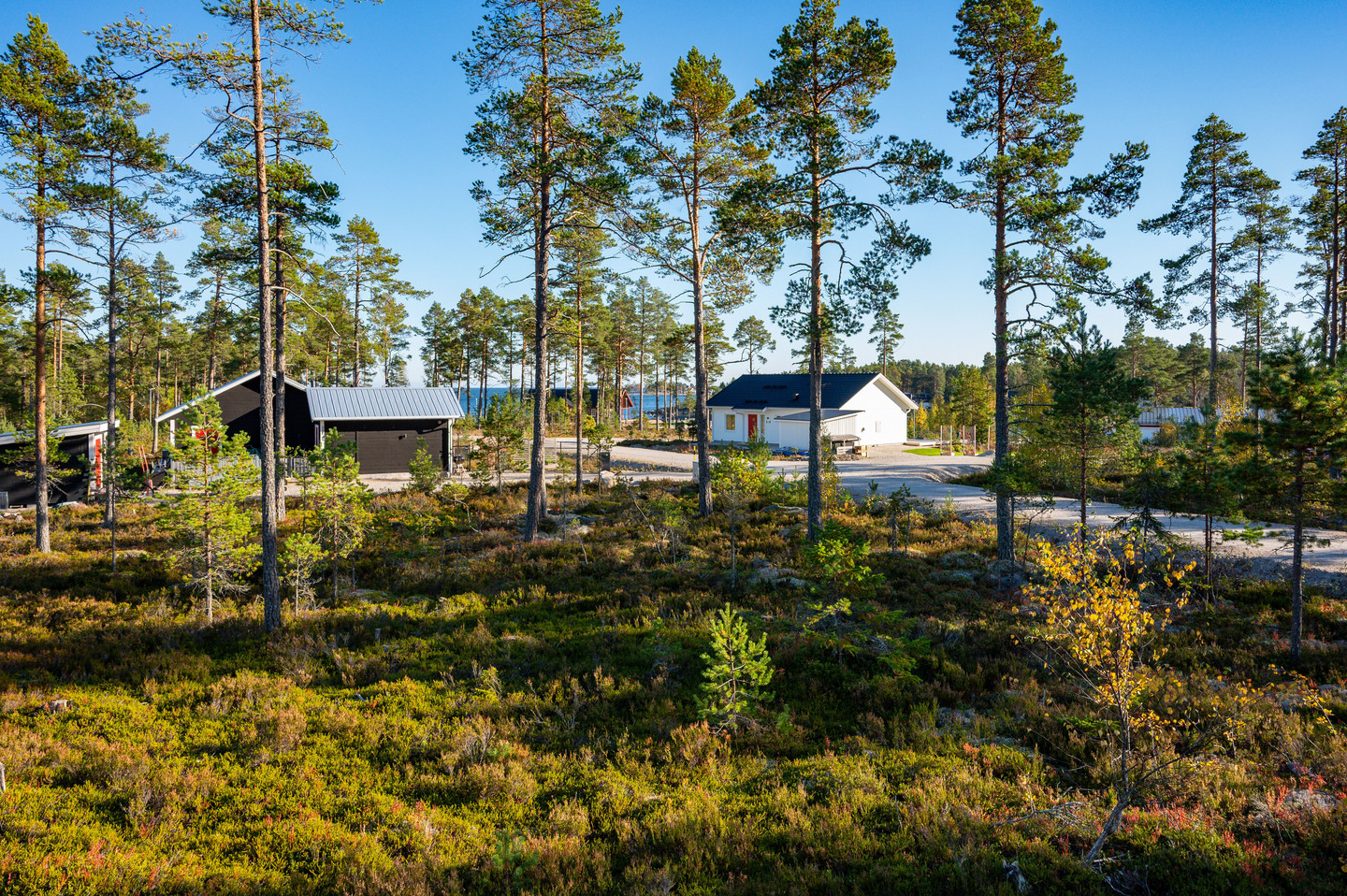 Morängsviken 305
