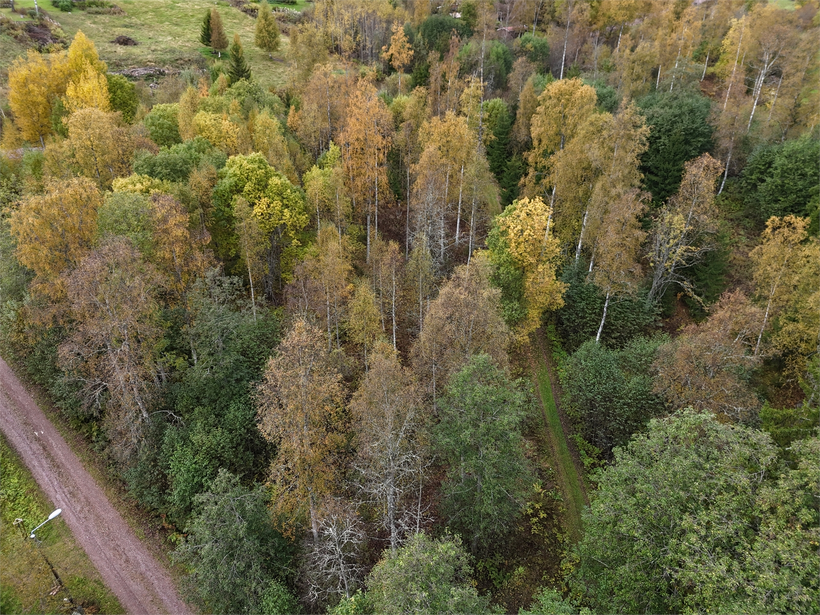 Bild 2 från Fastighetsbyrån