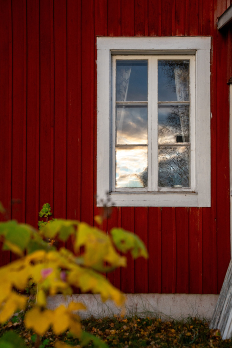 Myre 141 – bild 24