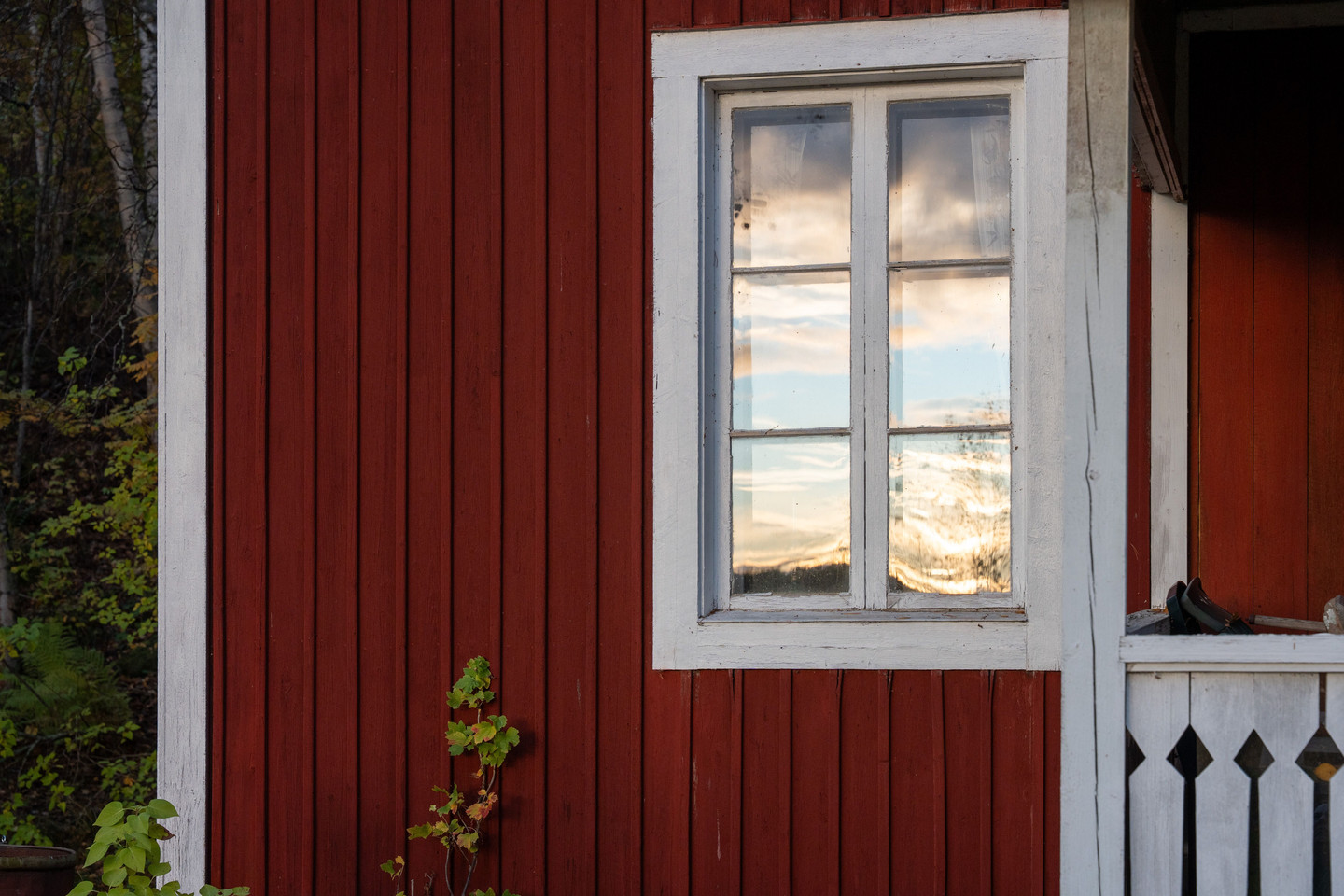 Myre 141 – bild 25
