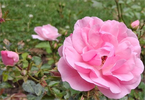 Bild 5