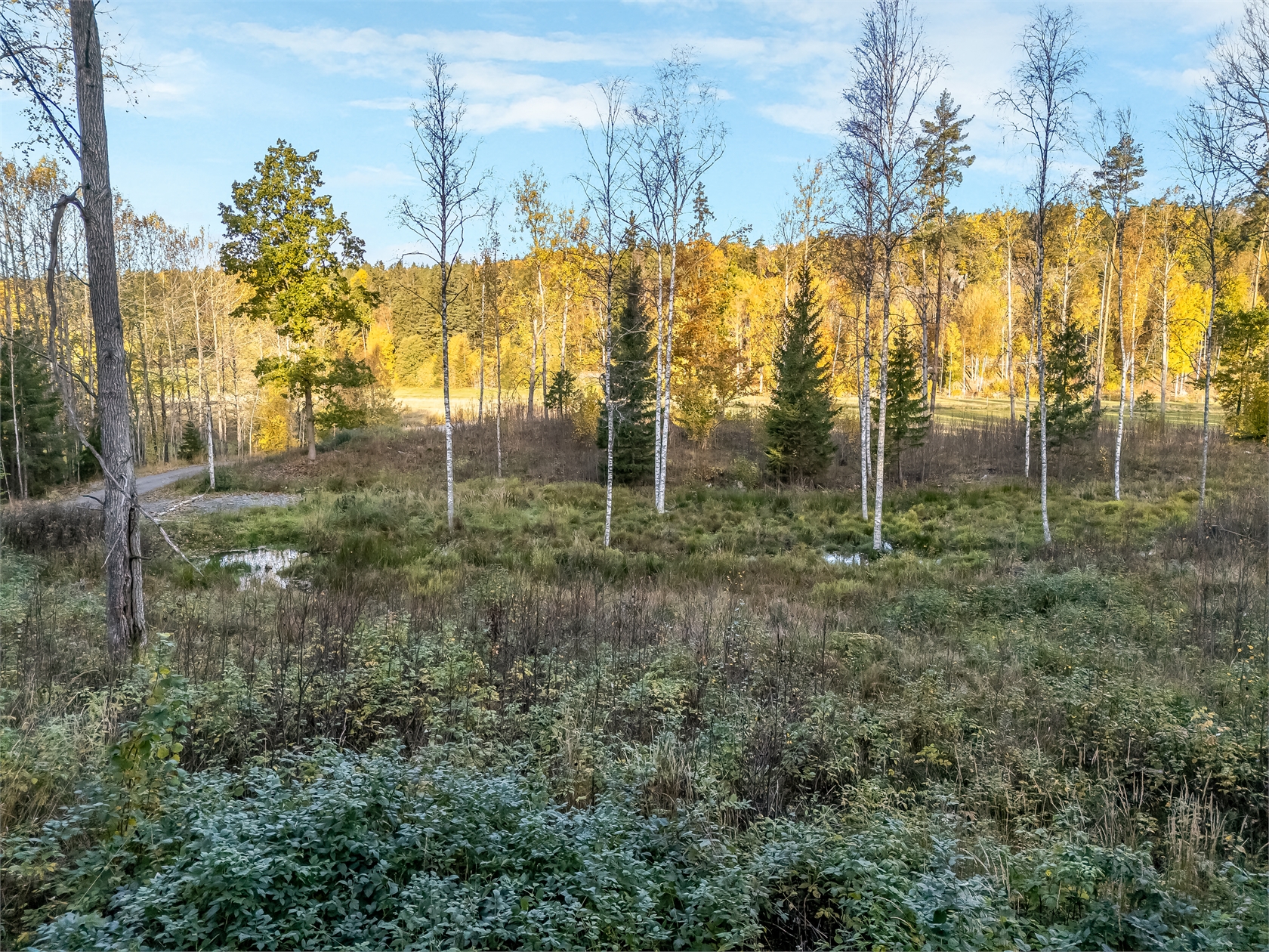 Slätmyrsvägen 1 och 3 – bild 12