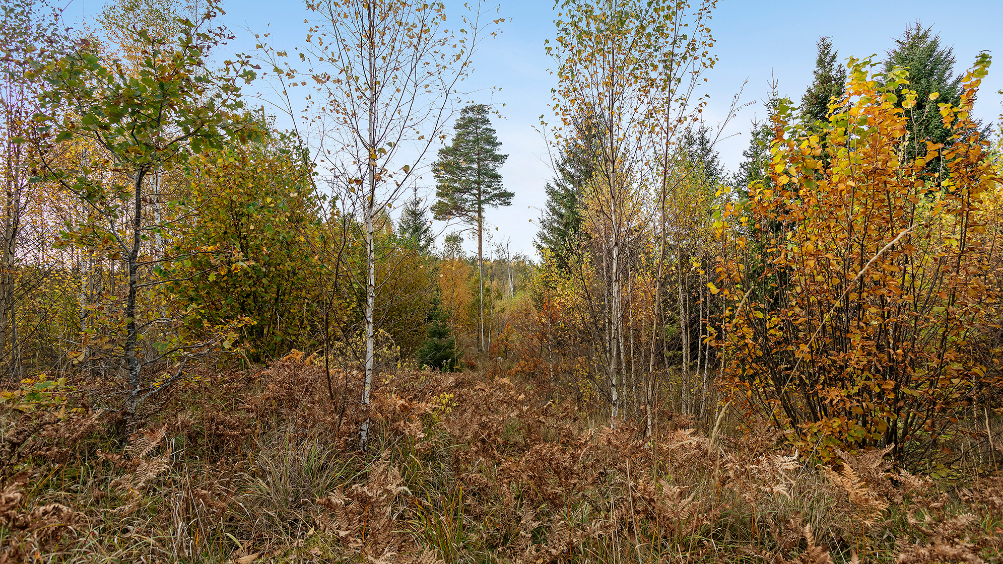 Långängens gård 17 – bild 15