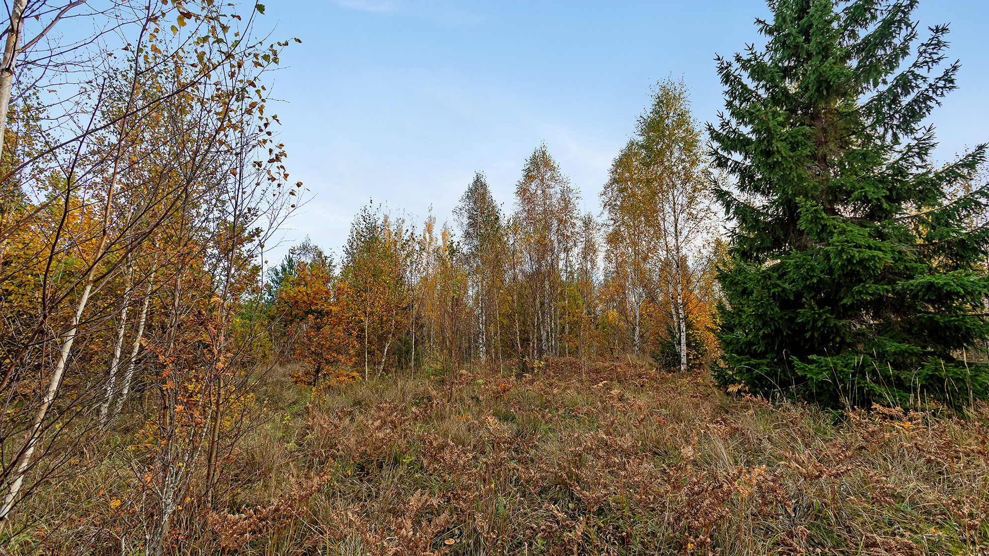 Långängens gård 17 – bild 16