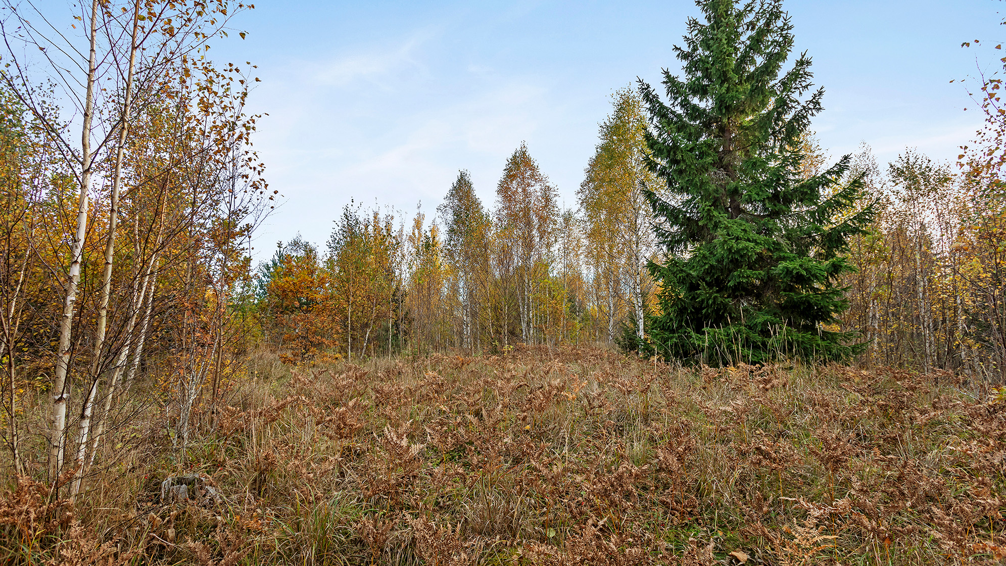 Långängens gård 17 – bild 17