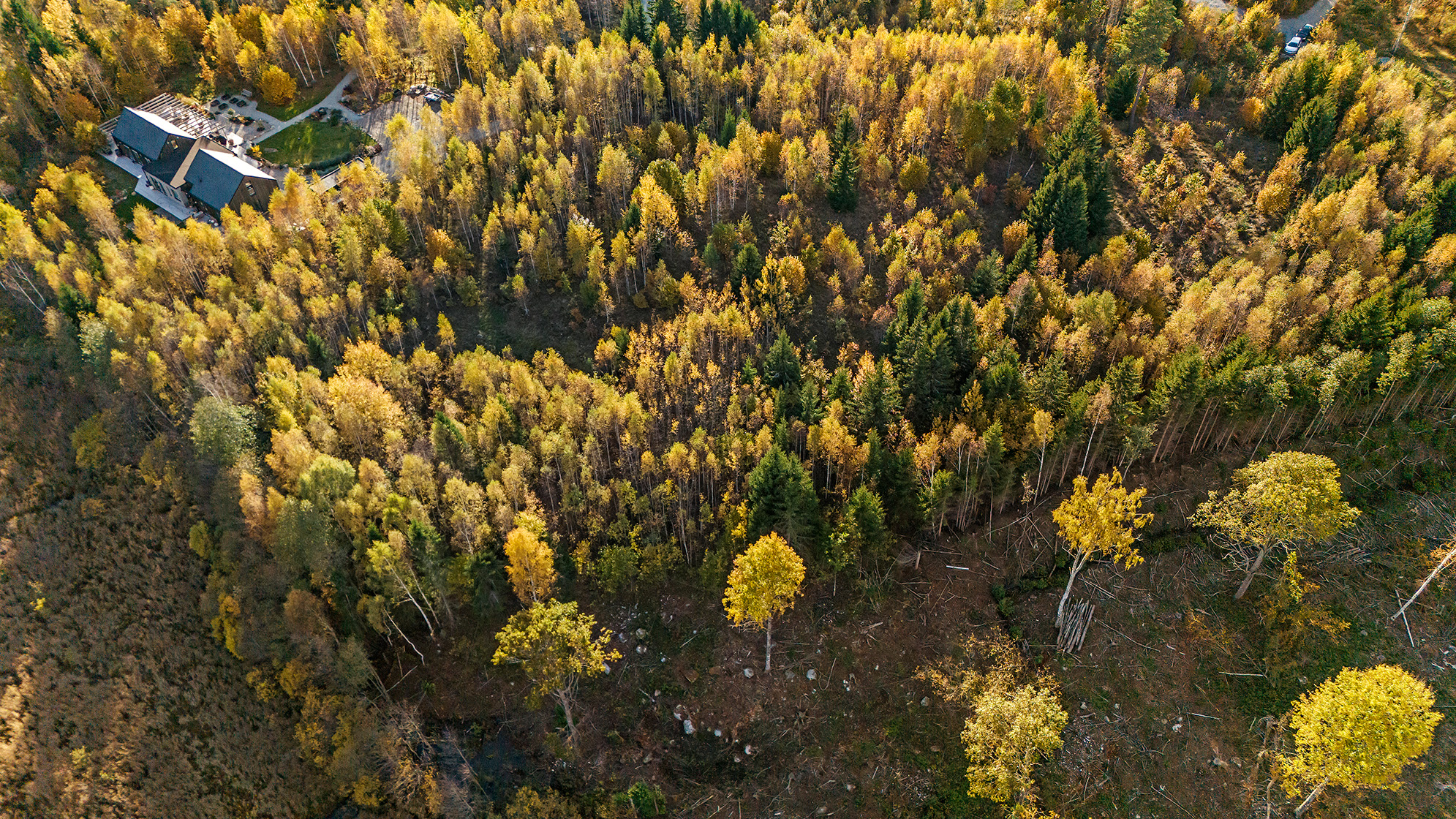 Långängens gård 17 – bild 19