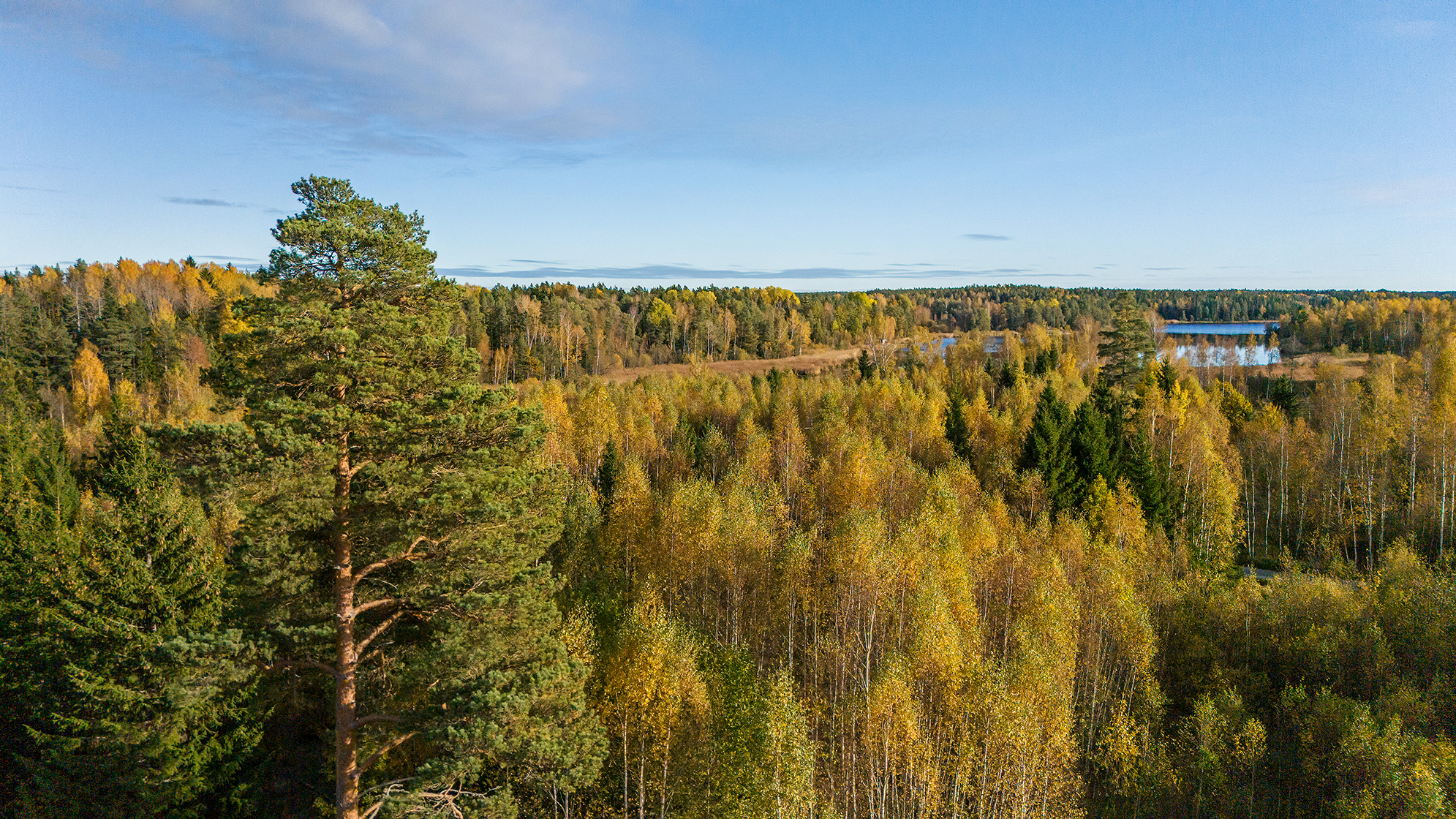 Långängens gård 17 – bild 6
