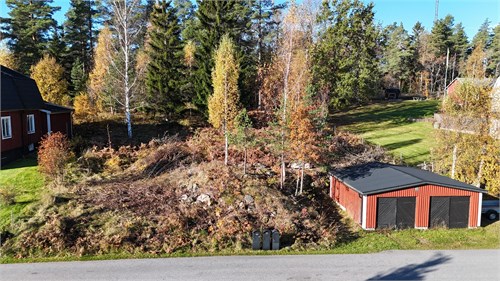 Järvsta 37:5