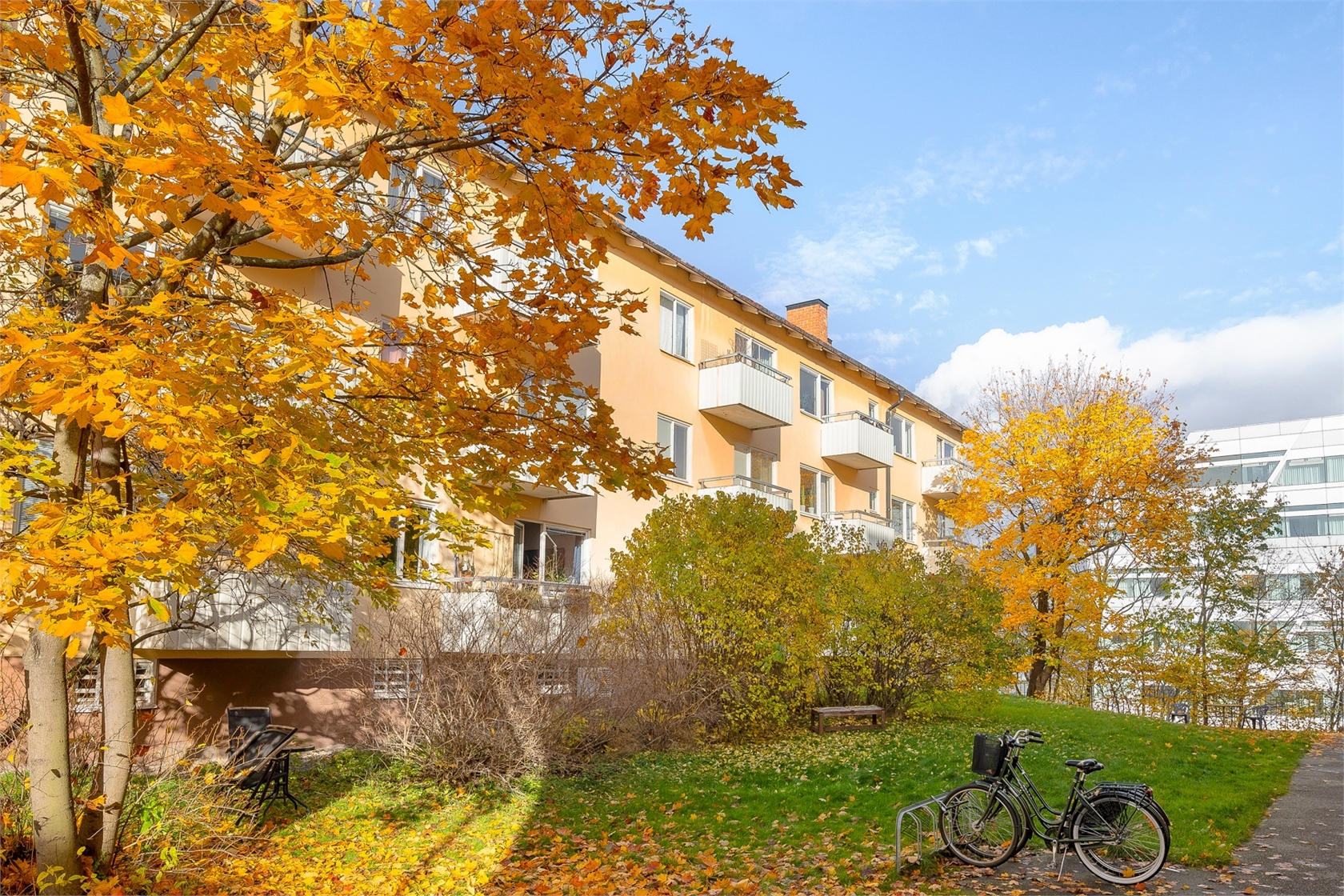 sön 11/10 – bild 6