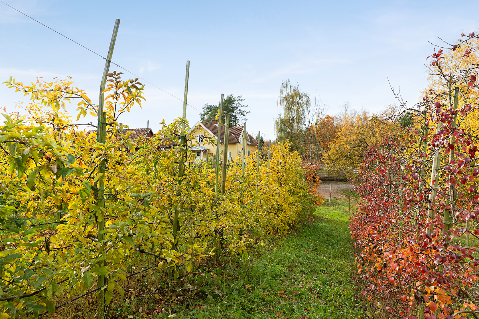 Näsumsvägen 50 – bild 7