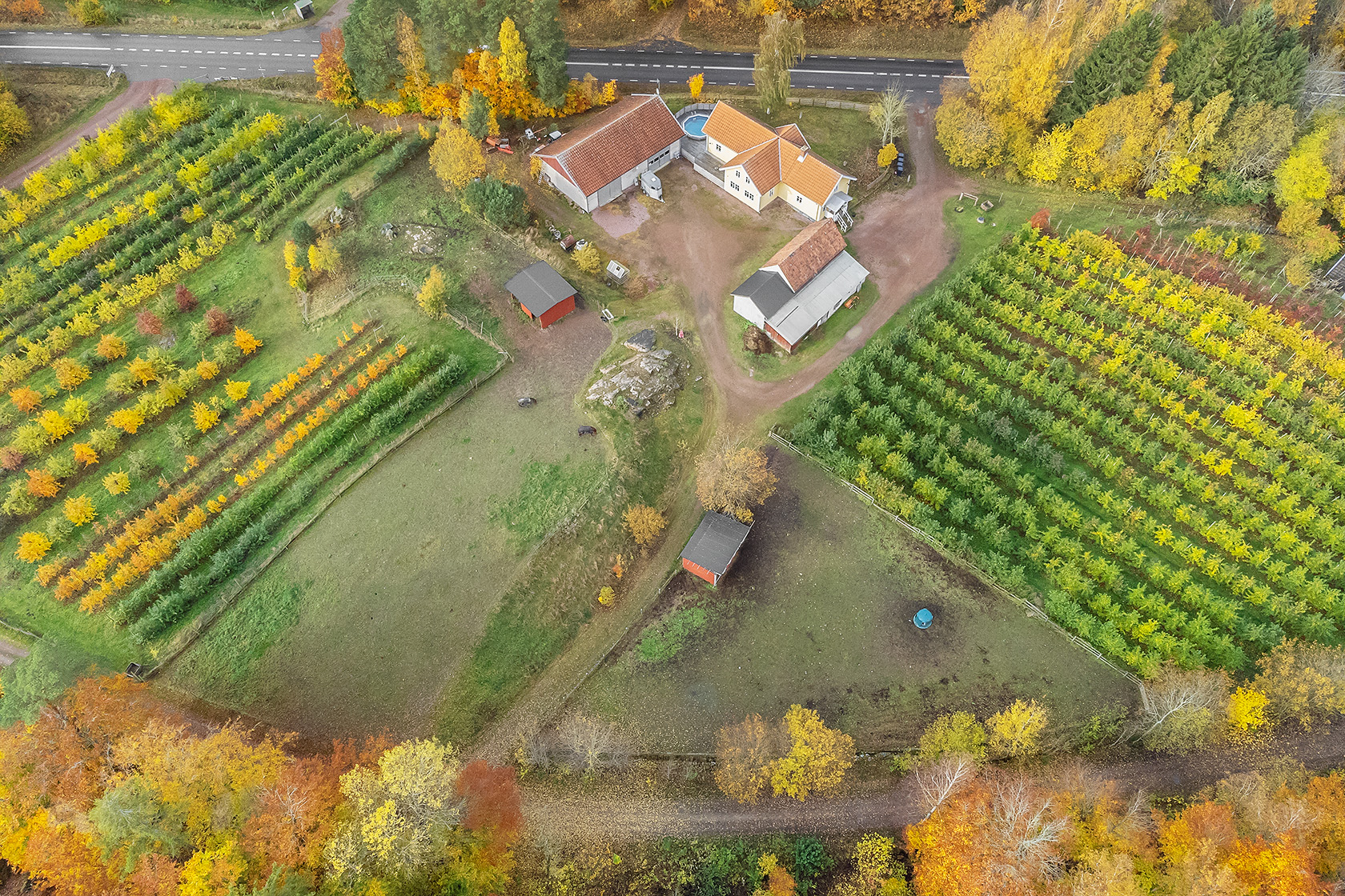 Näsumsvägen 50 – bild 2