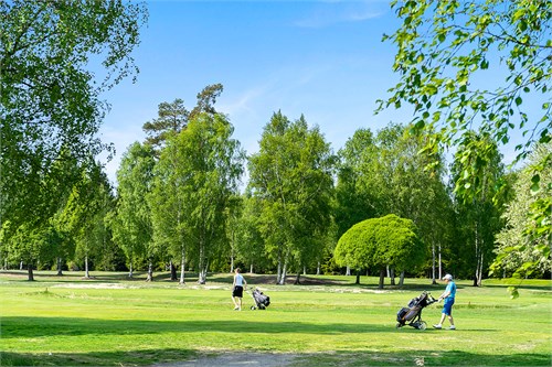 Myggdalsvägen 66