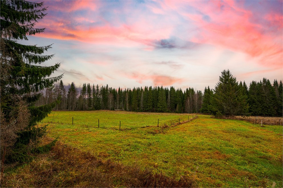 Källsjön 56 Bild 5