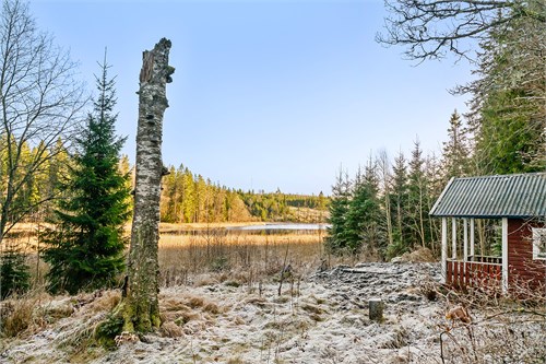 Botjärn 4