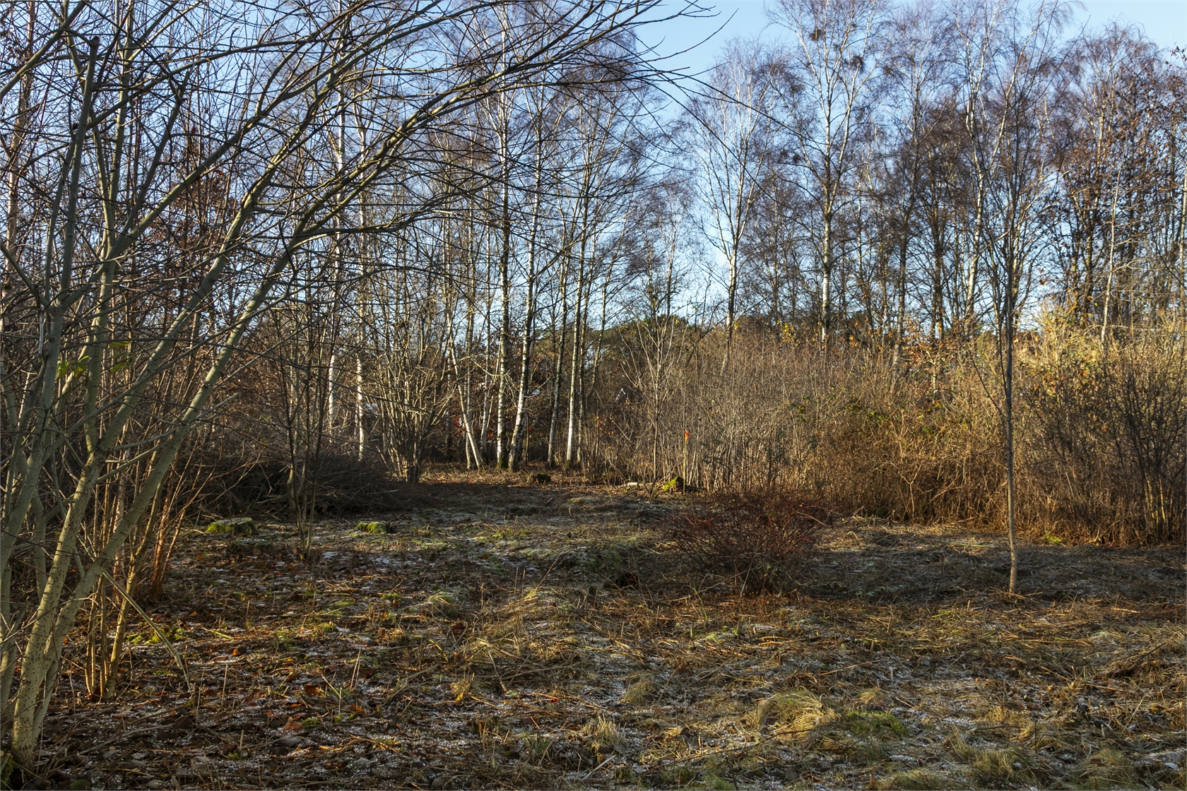 Astrids väg 4 – bild 3