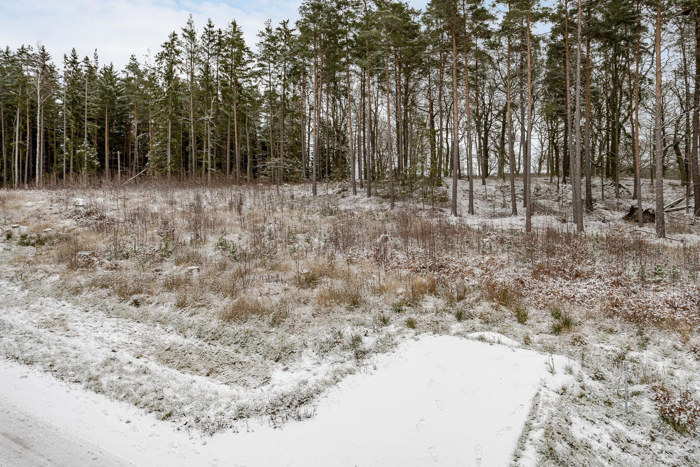 Bild 2 från Fastighetsbyrån