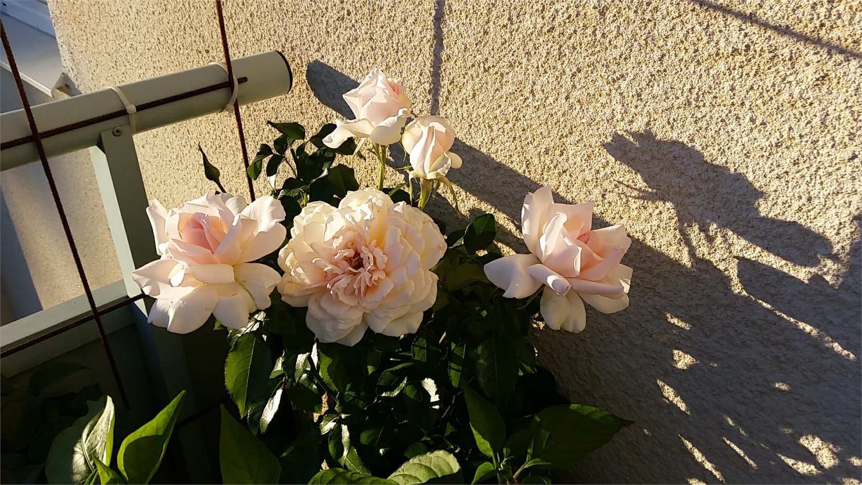 Brunnsgatan 51 A – bild 16