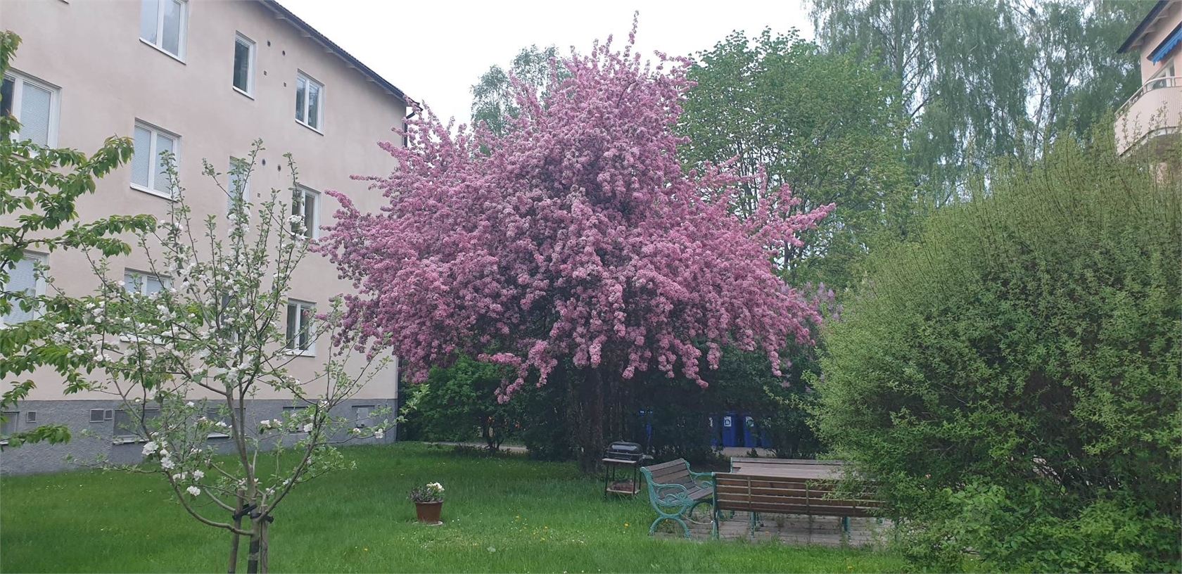 Brunnsgatan 51 A – bild 22