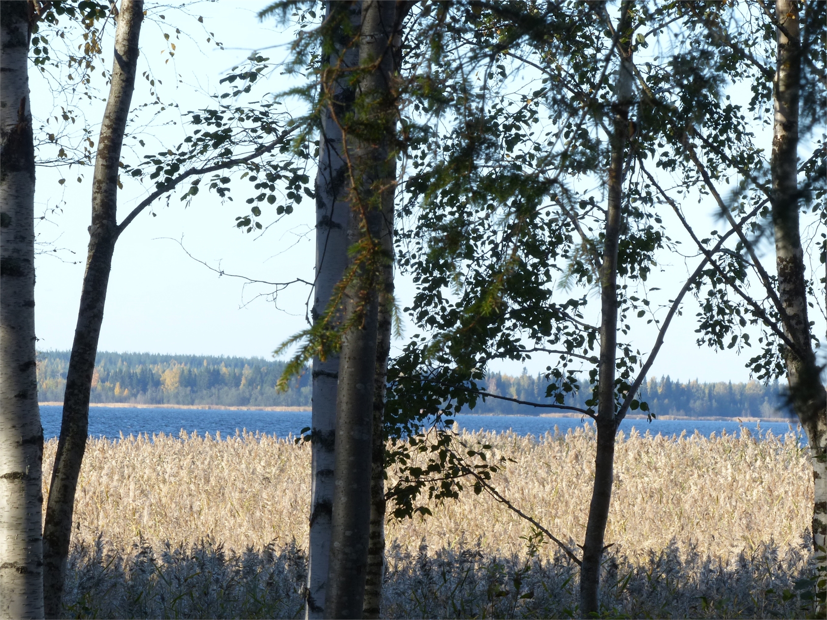 Bild 3 från Fastighetsbyrån