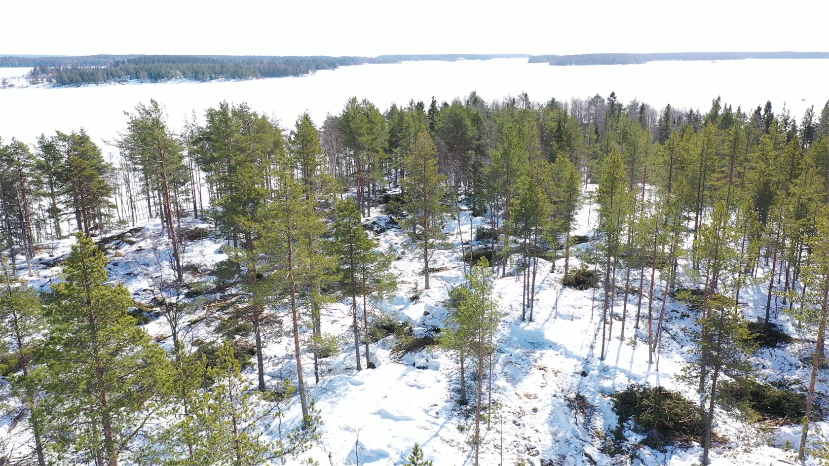 Lappbäcken - Städjeviksberget, tomt nr12 – bild 2