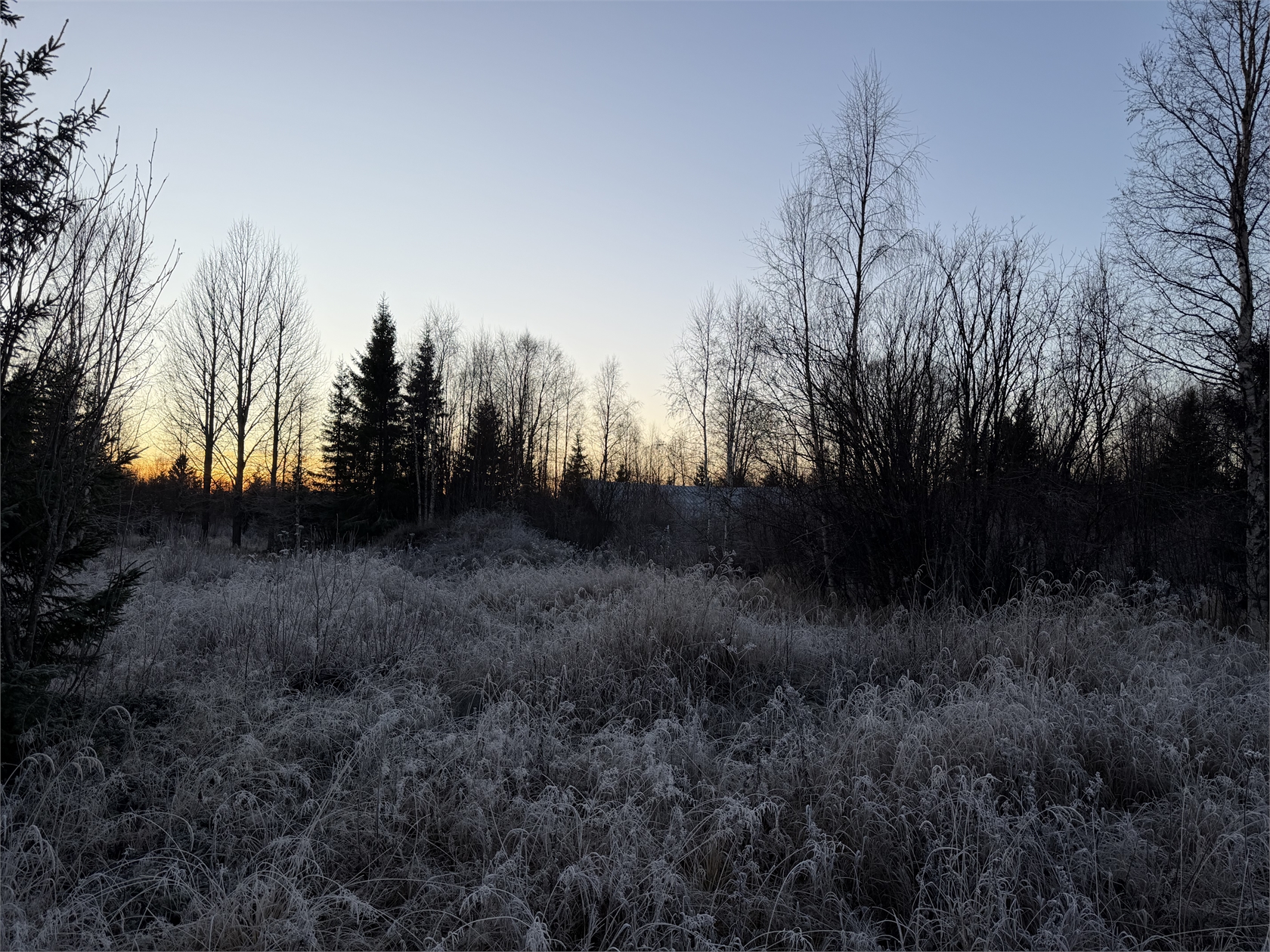 Pellinpää 79 – bild 6