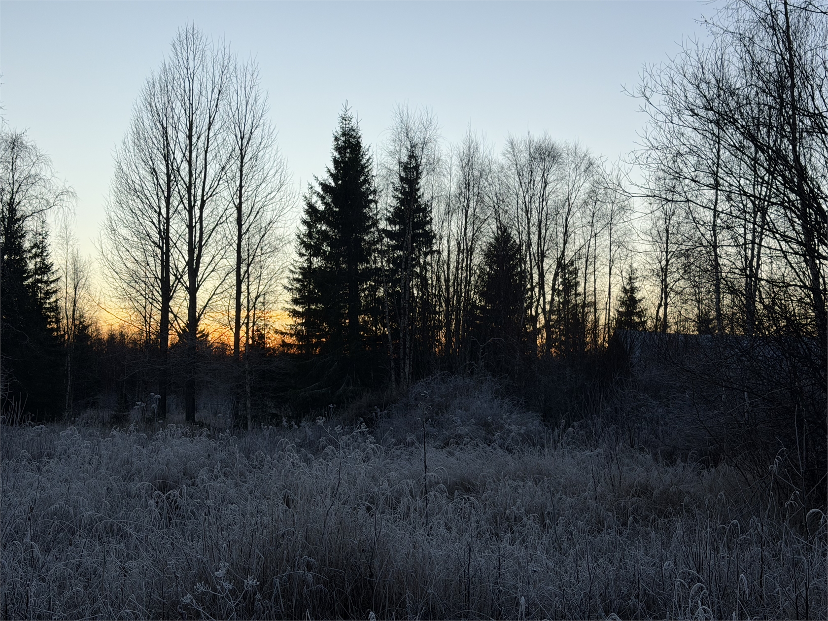 Pellinpää 79 – bild 5