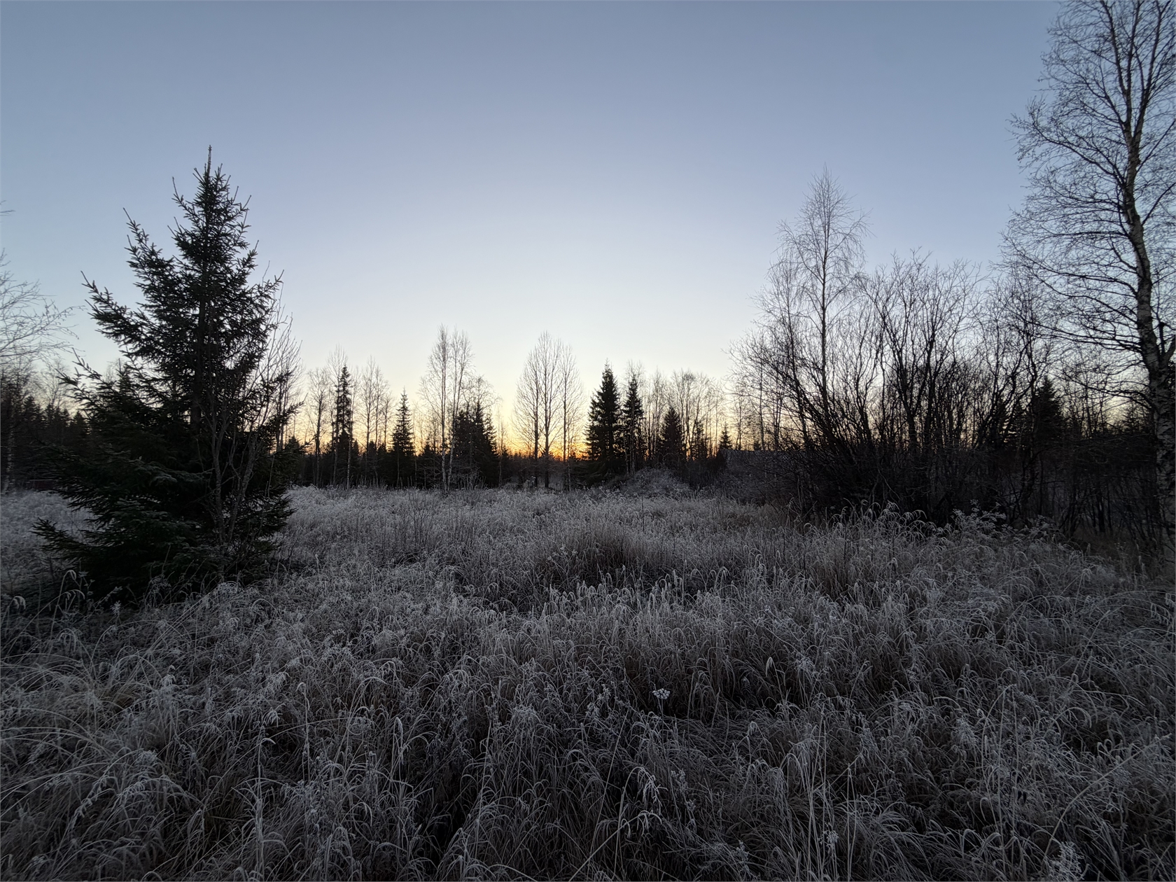 Pellinpää 79 – bild 4