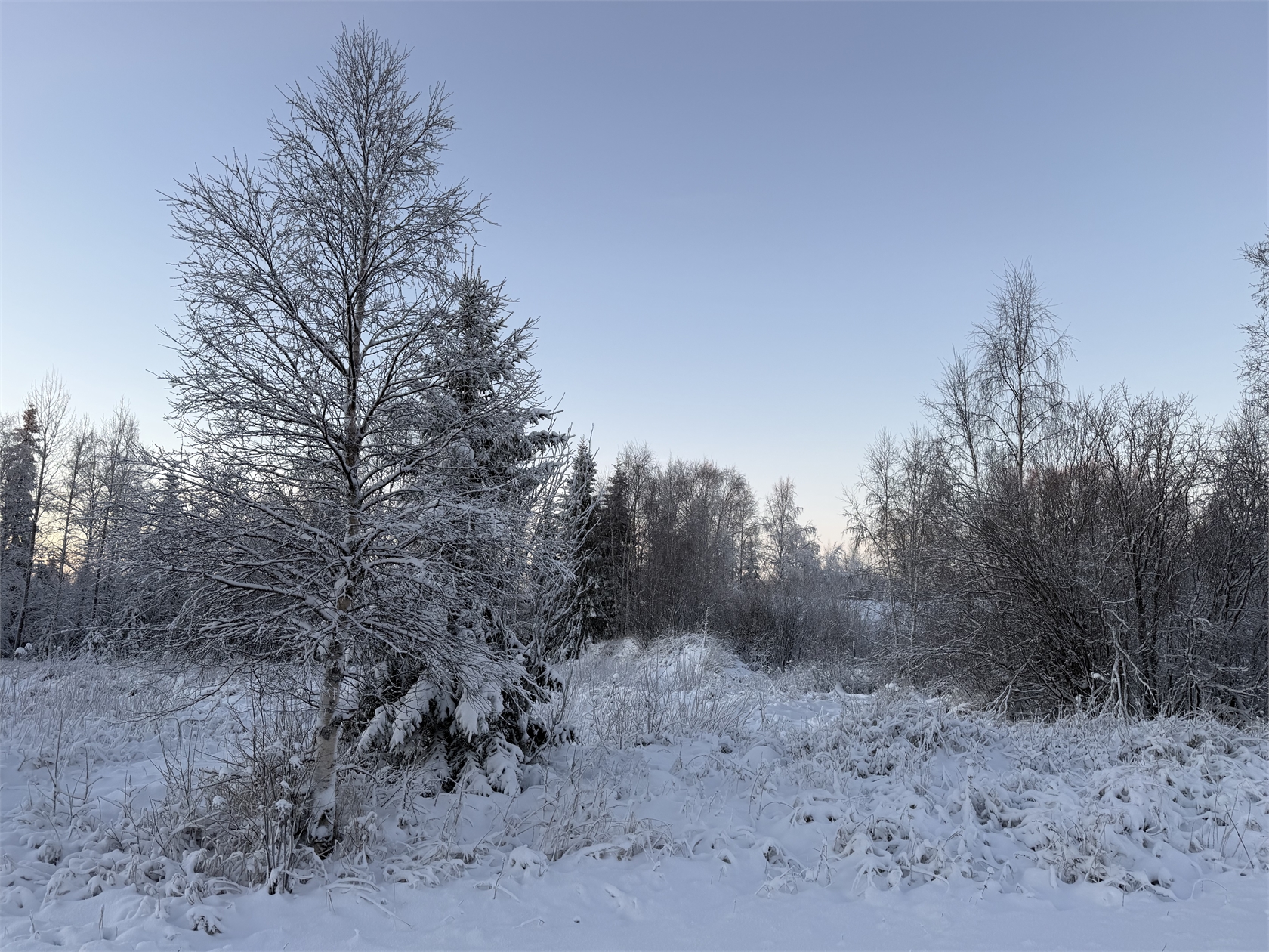 Pellinpää 79 – bild 2