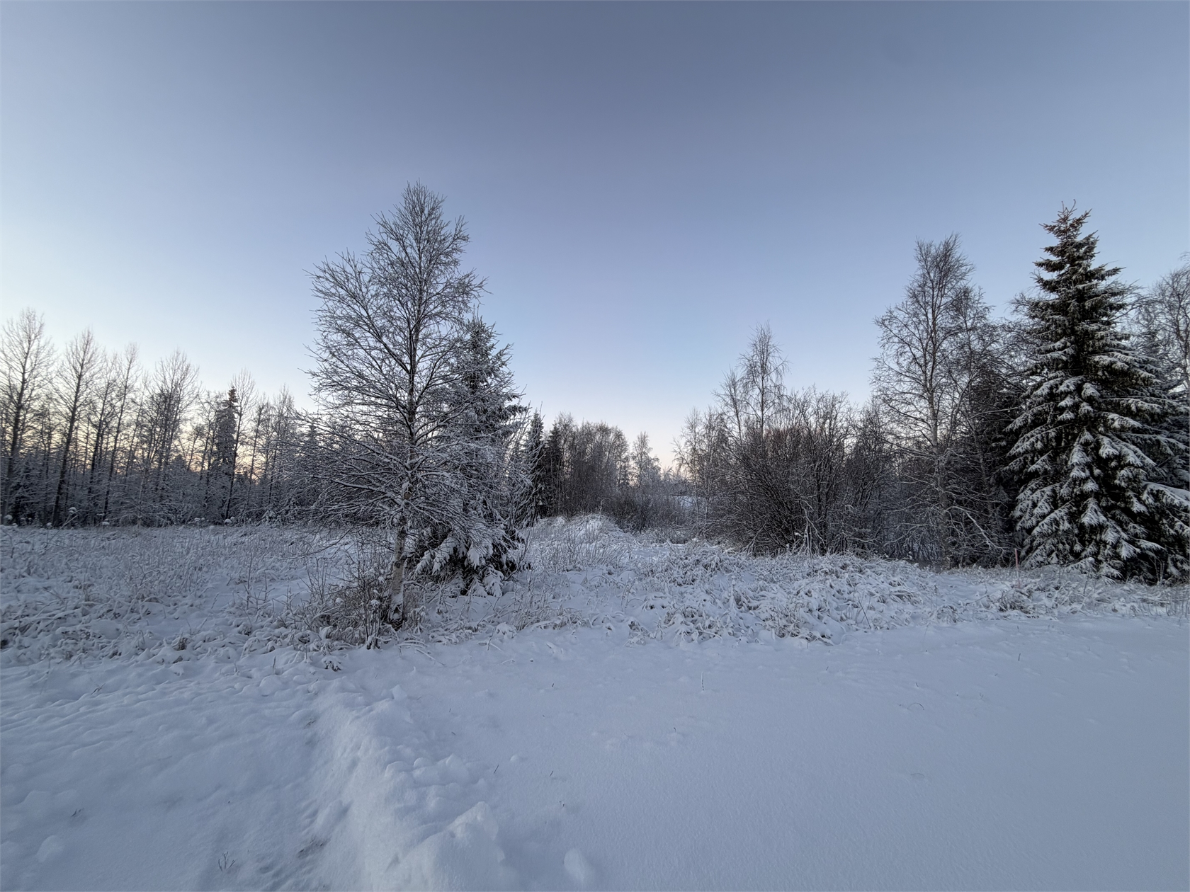 Pellinpää 79 – bild 3