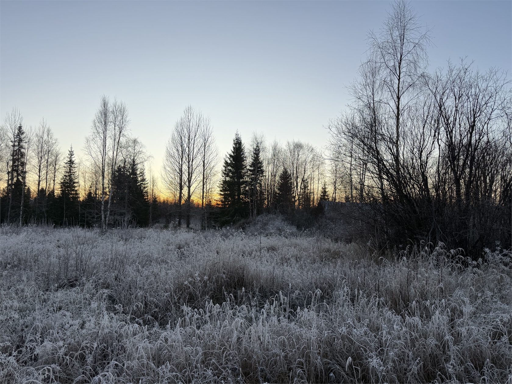 Pellinpää 79 – bild 7