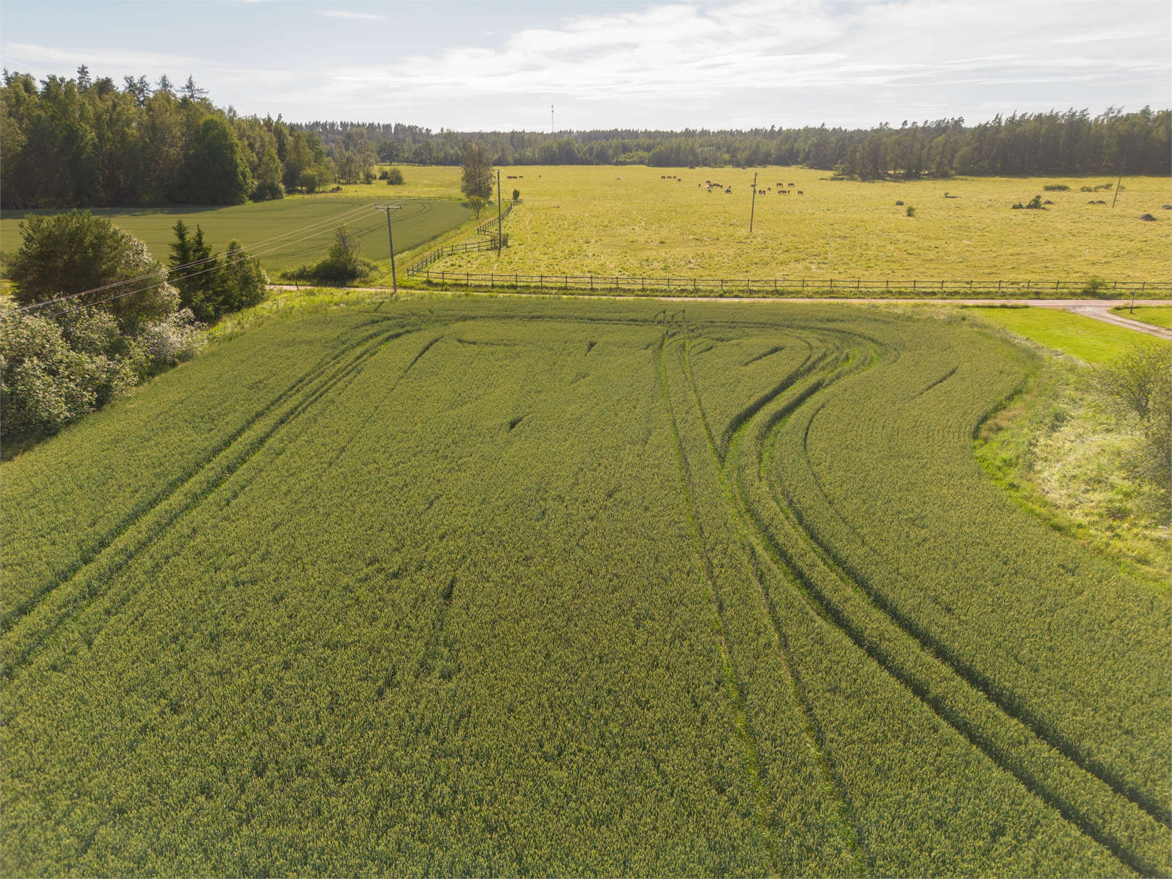 OLVSTA – bild 3