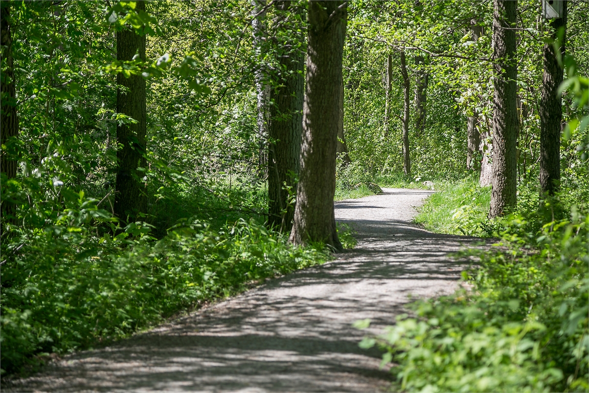 Jonsbergsvägen - Brf Bolselyckan – bild 11