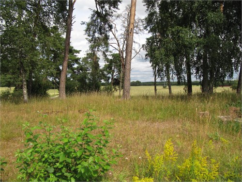 Tjusta Skolväg