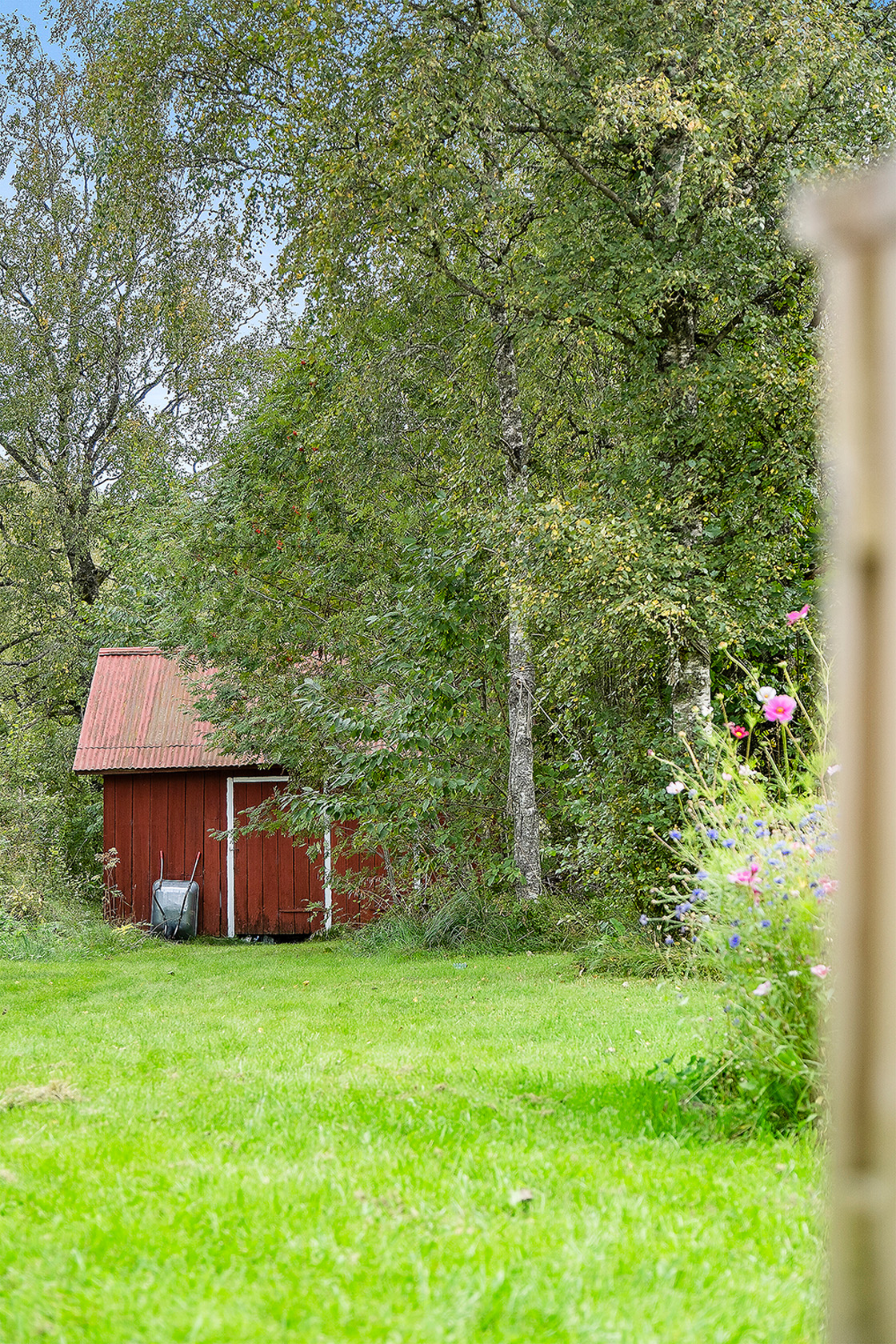 Starhester 105 – bild 11
