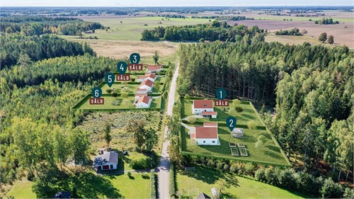 Björkliden i Kränge