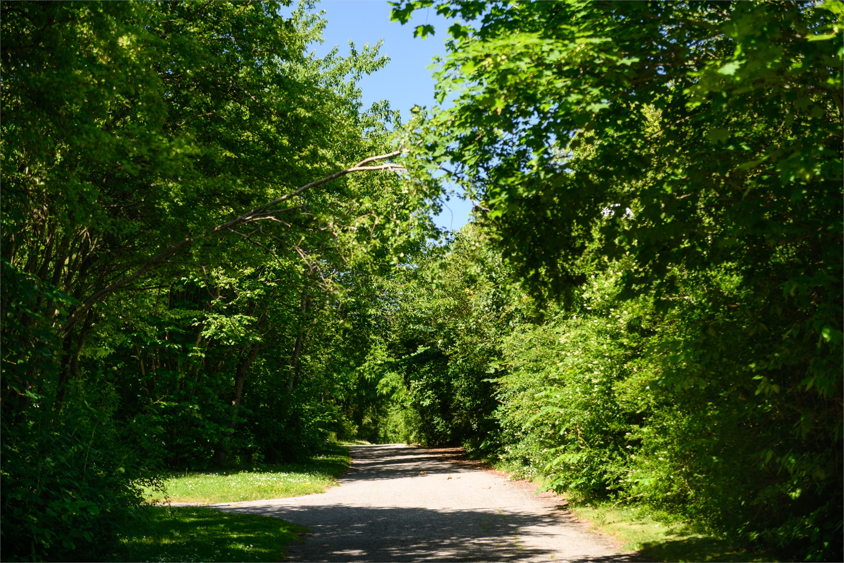 Vipeholms allé 53 – bild 33