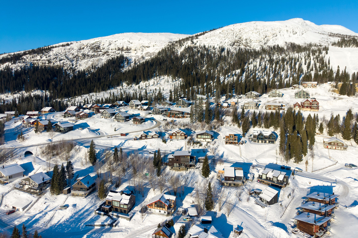 Tegefjäll Lingonet 4C – bild 28
