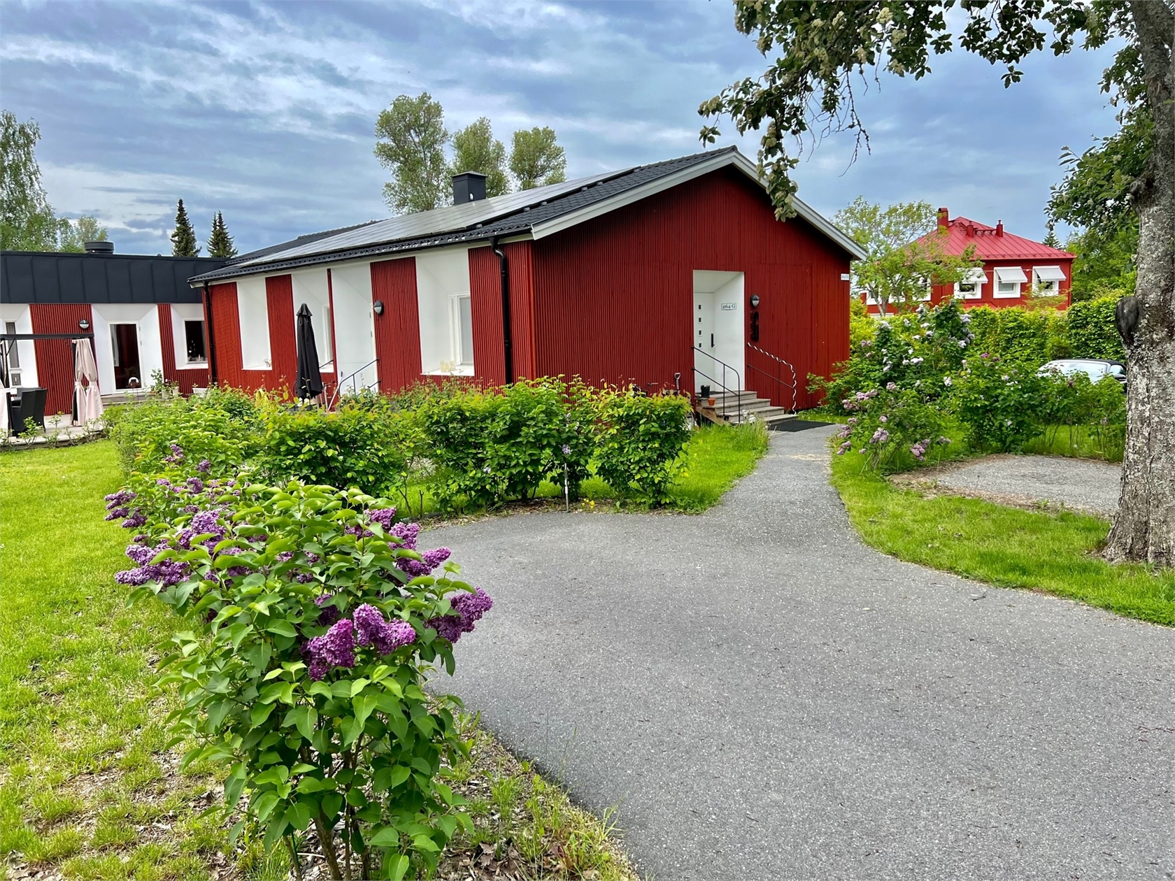 Venngarn 264G – bild 4
