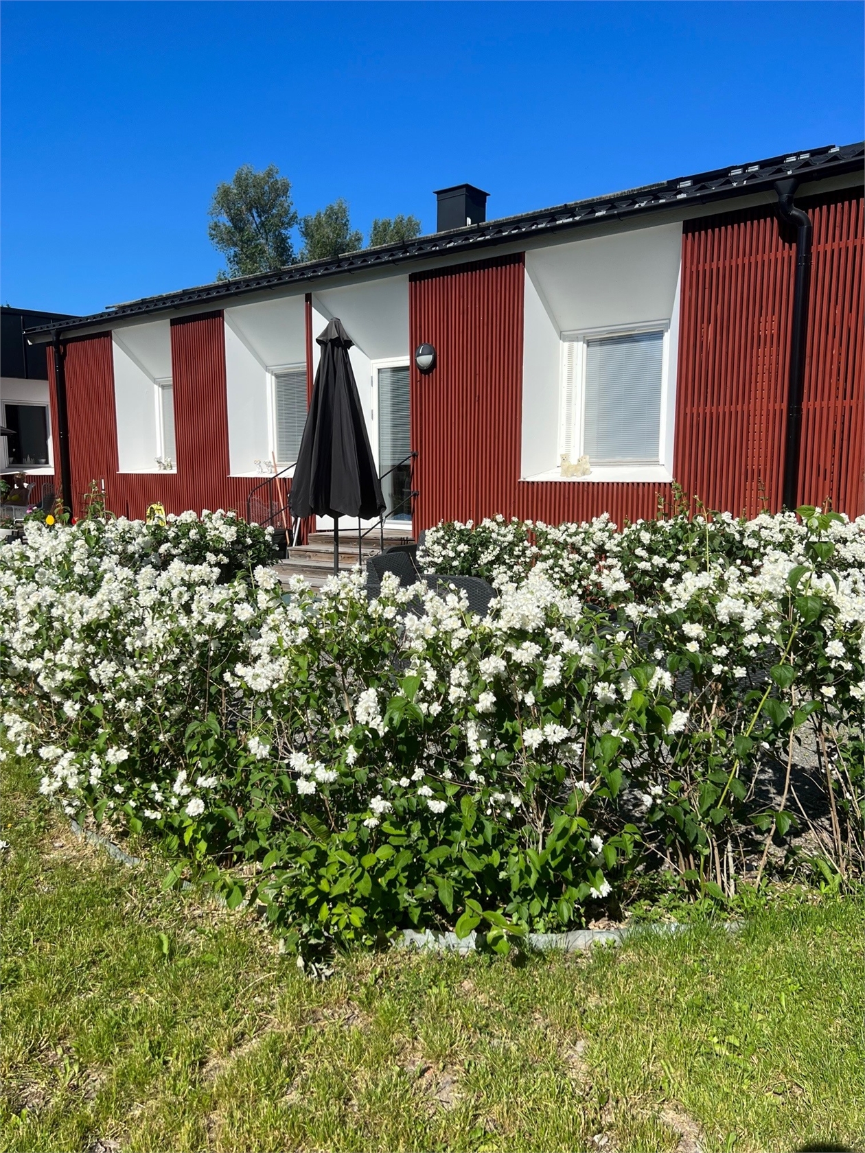 Venngarn 264G – bild 7