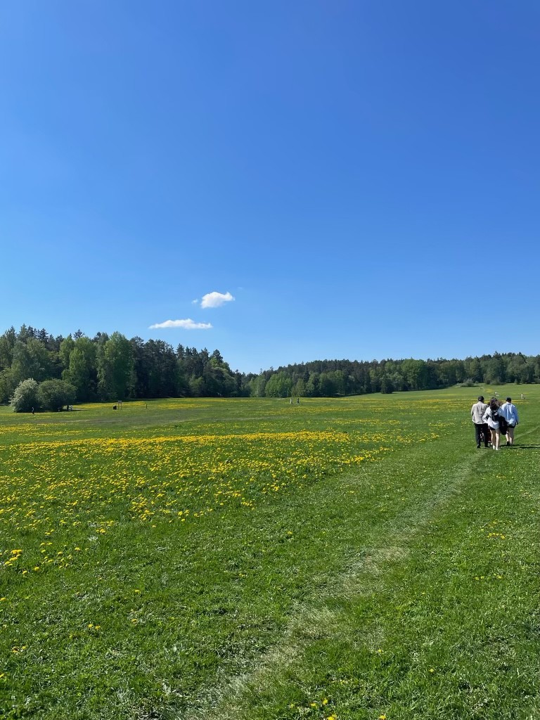Grimstagatan 72 (Våning 2) – bild 26