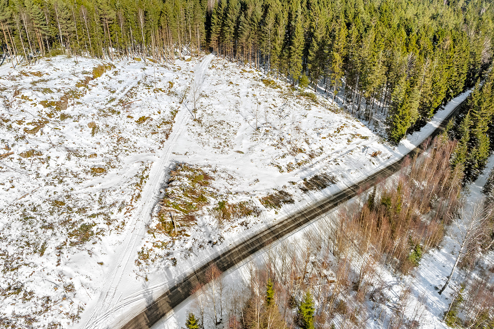 Lygnövägen blivande tomt 2 – bild 6