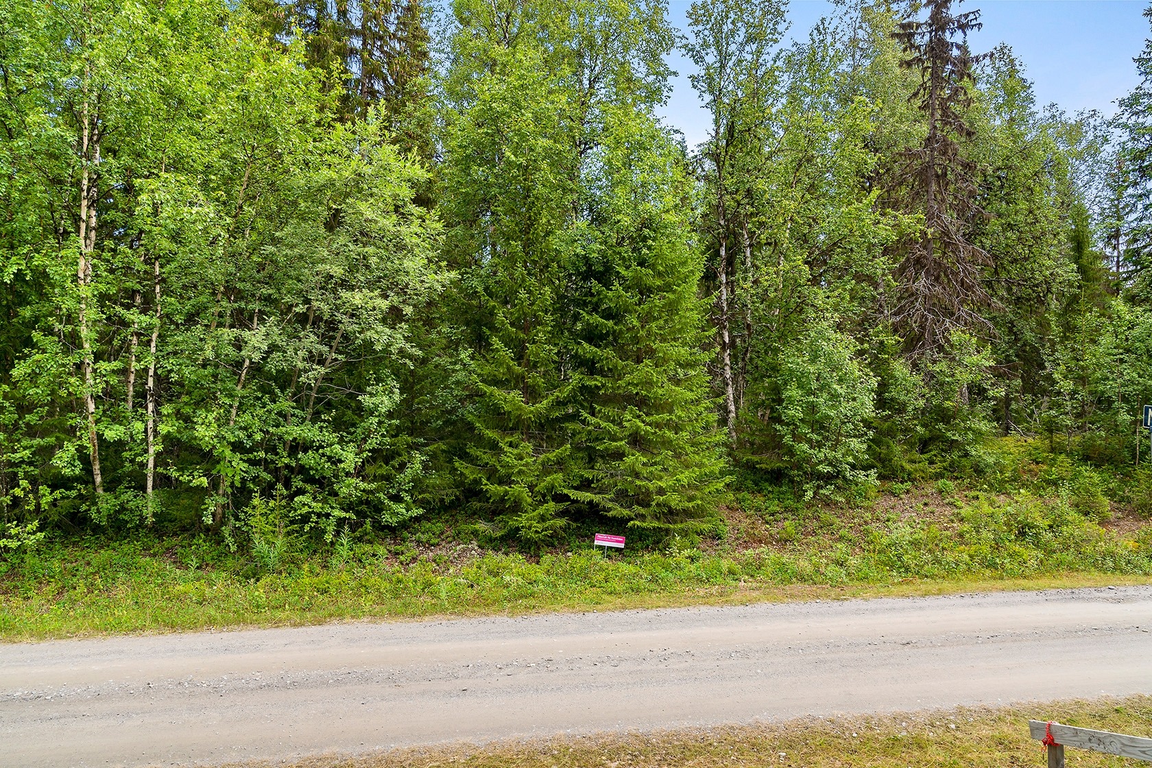 Tångböle – bild 7
