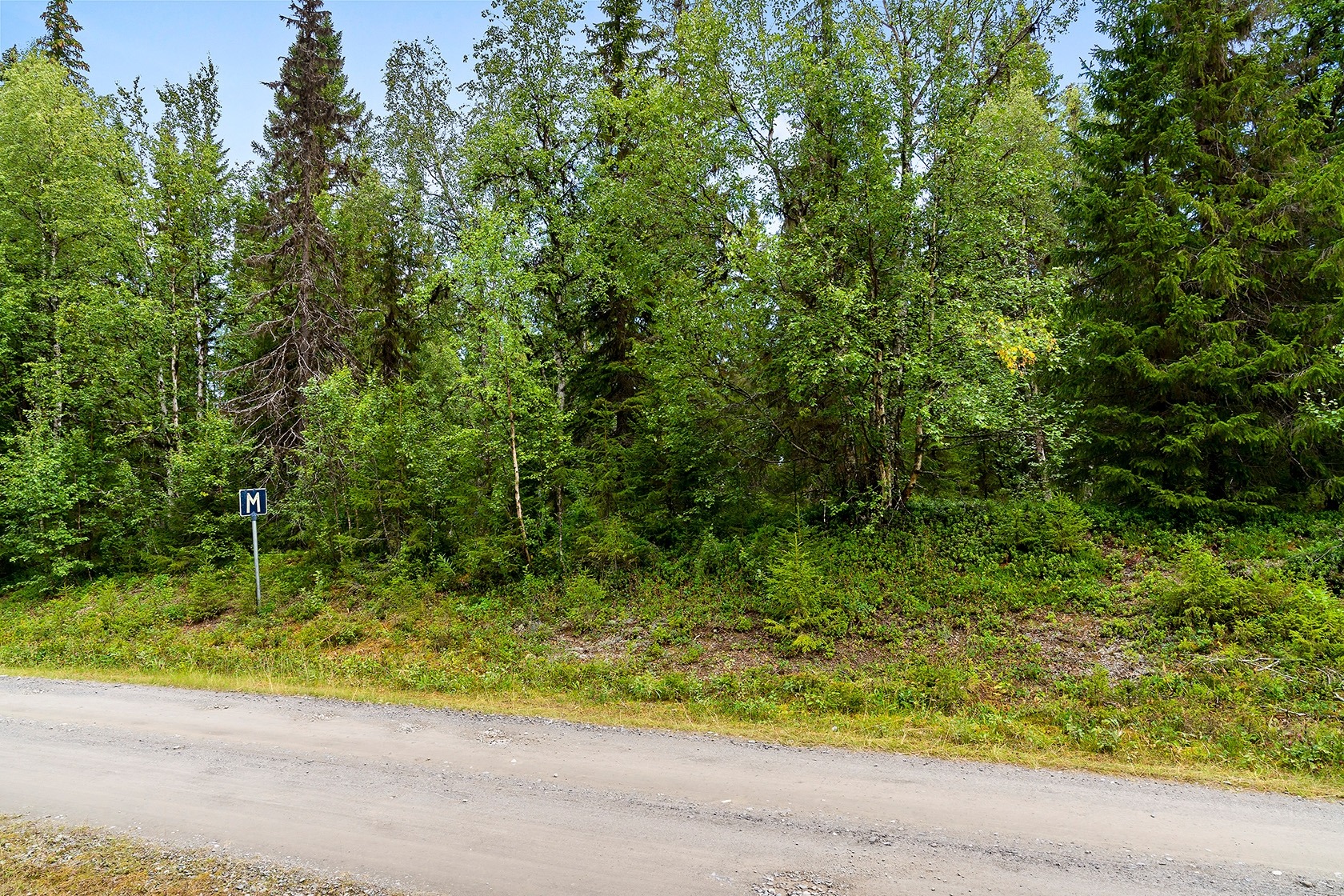 Tångböle – bild 8