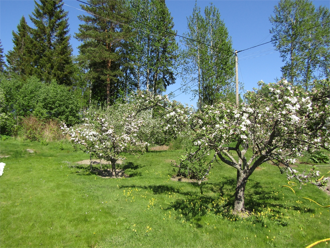 Kultebo 522 – bild 17