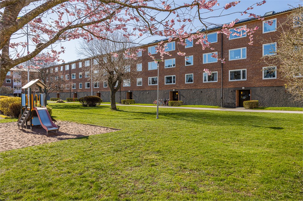 Stora Trädgårdsgatan 38