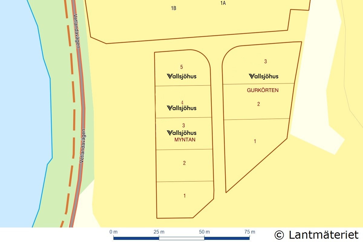 Myntan 3 – bild 2