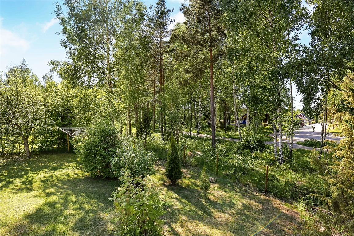Hornugglan 42 – bild 20