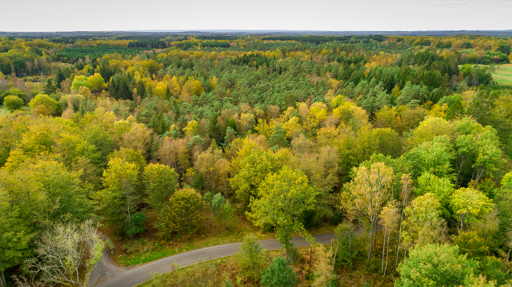 Bild 2 från Fastighetsbyrån