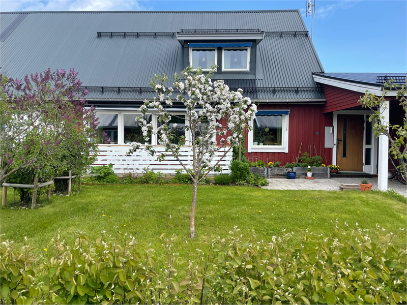 Säljarnas sommarbild